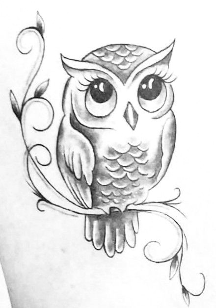 Easy Cute Owl Drawing Pin by Mabel Diaz On De todo Un Poco Owl Tattoo Drawings