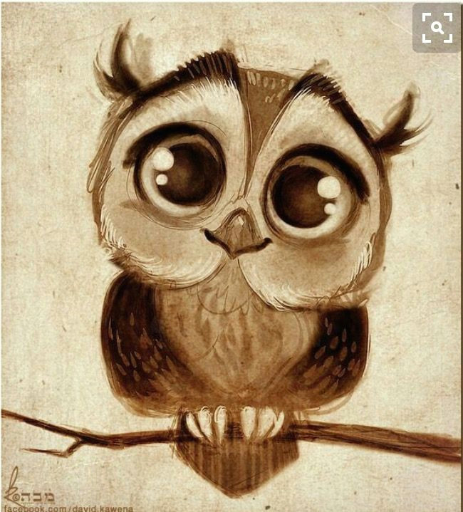 Easy Cute Owl Drawing Pin by Snooky Korczak On Crafty Owls Buho Dibujo Ojos De
