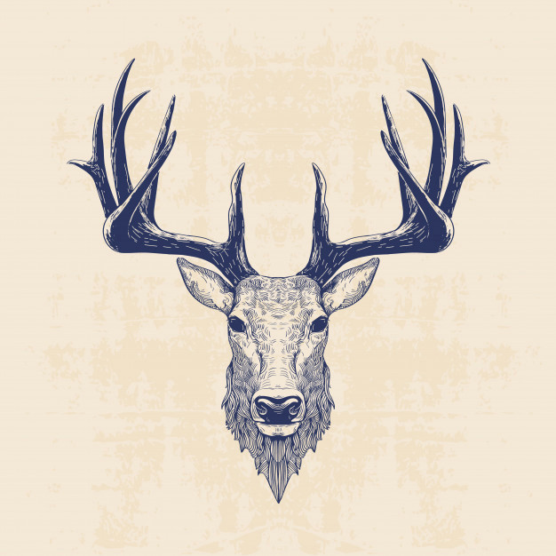 Easy Deer Head Drawing Deer Head Vector Premium Download