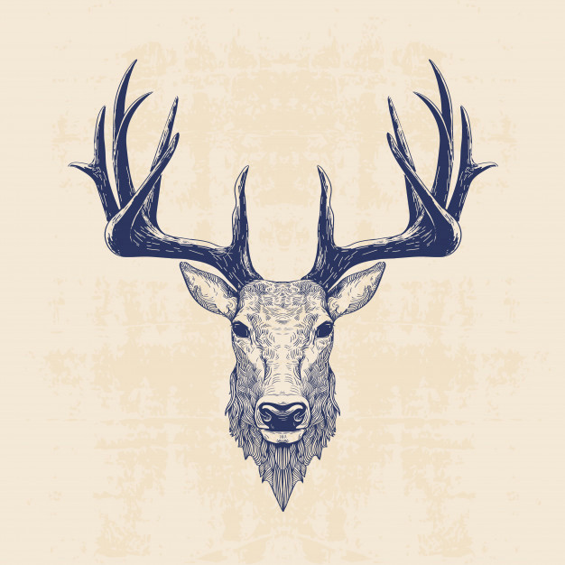 Easy Deer Head Drawing Deer Head Vector Premium Download