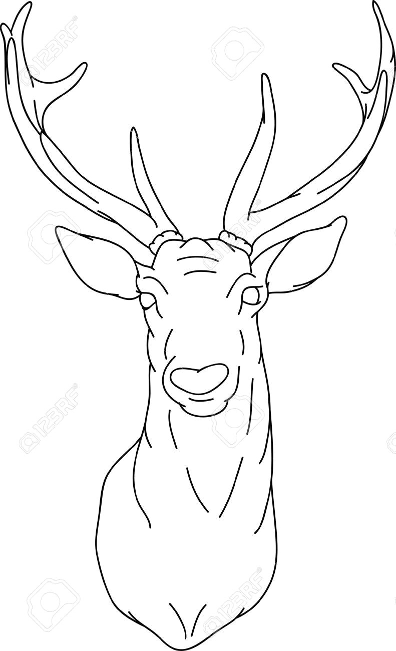 Easy Deer Head Drawing How to Draw A Deer Head Google Search Deer Painting