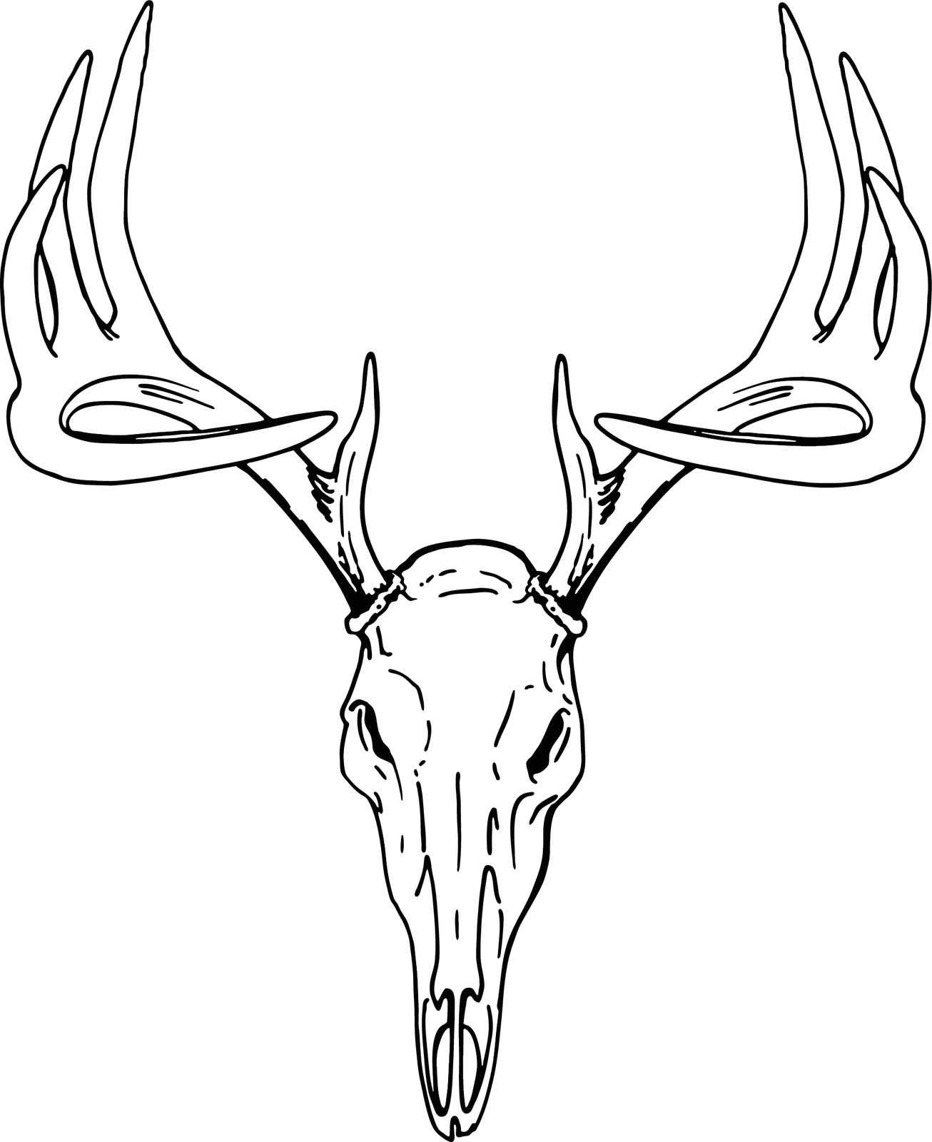 Easy Deer Head Drawing Pin by Ghostify On Tattoo Deer Drawing Deer Skulls Drawings