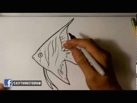Easy Drawing Of A Fish How to Draw An Angel Fish Easy Drawings Easydrawings101