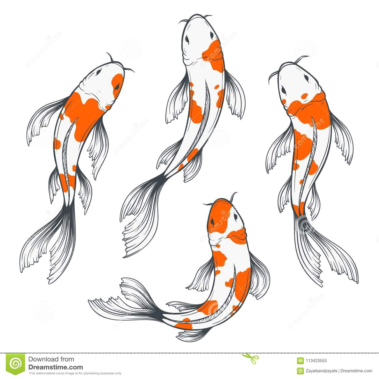 Easy Drawing Of A Fish Koi Fish and Japan Lessons Tes Teach