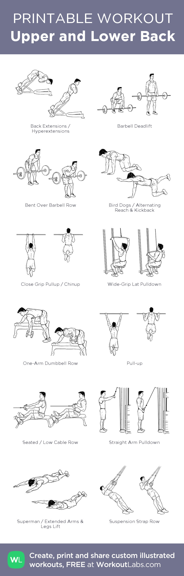 Easy Dumbbell Drawing Upper and Lower Back My Visual Workout Created at