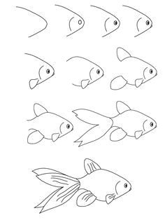 Easy Goldfish Drawing 75 Best Fishy Drawings Images Drawings Fish Art Fish