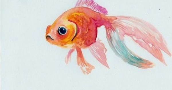 Easy Goldfish Drawing Pin by Carol Cahill On Watercolors In 2019 Fish Art Fish