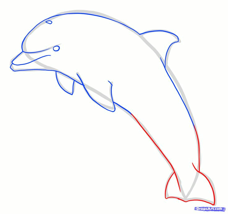 Easy How to Draw A Dolphin Drawing Dolphins Tutorial How to Draw A Jumping Dolphin
