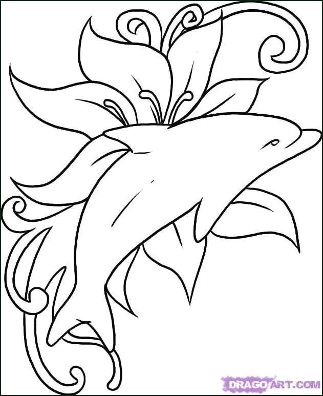 Easy How to Draw A Dolphin Lovely Coloring Pages Shark Easy Picolour