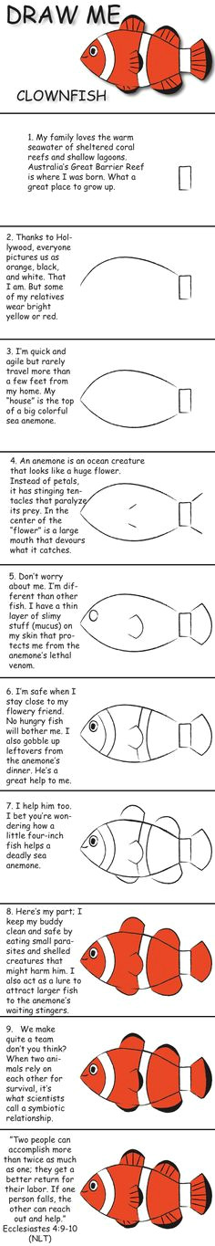 Easy How to Draw A Fish 17 Best Fish Drawing Instructions Step by Step Images Fish