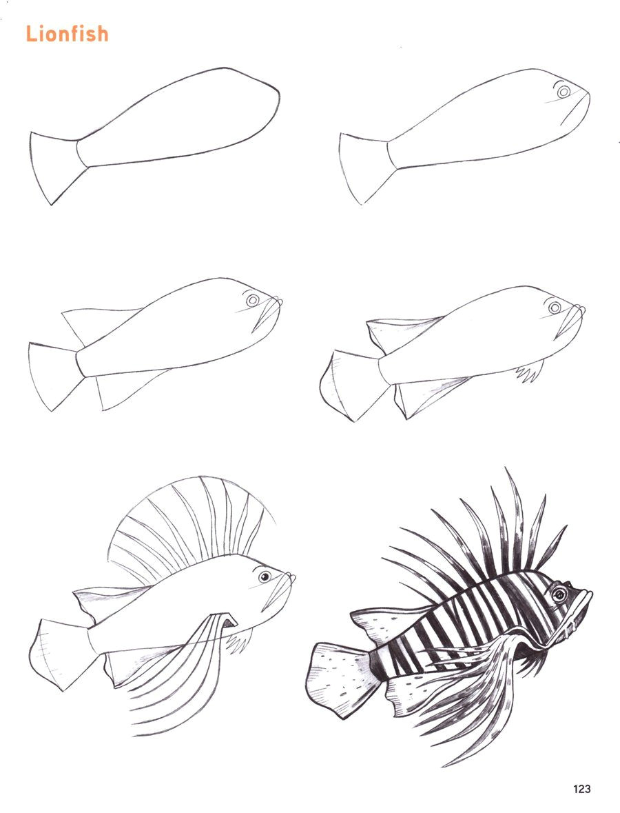 Easy How to Draw A Fish Lion Fish by Christopher Hart Traditional Art Drawings