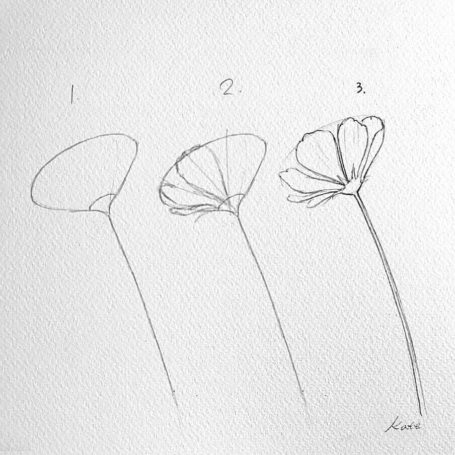 Easy How to Draw A Flower How to Easily Draw Flowers In 3 Steps D A Was This Helpful