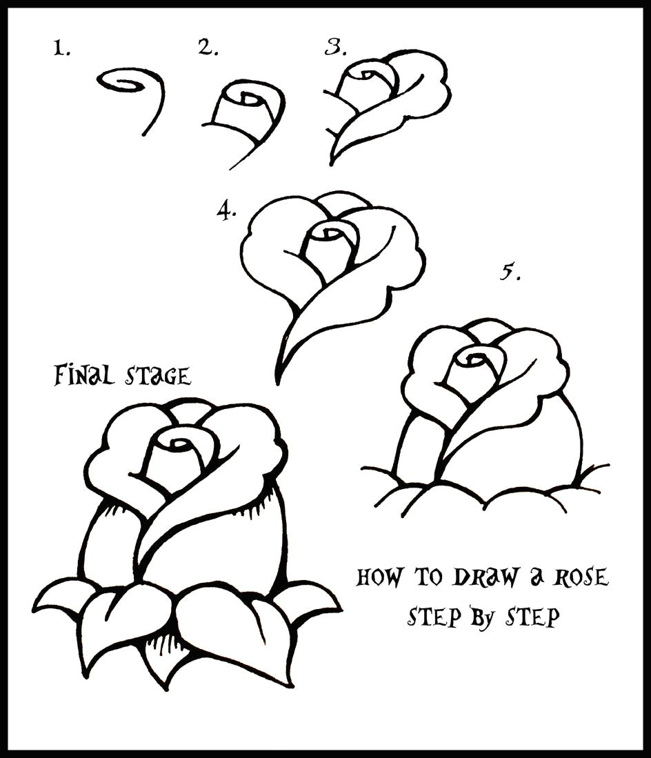 Easy How to Draw A Rose Step by Step Free Drawings Easy Download Free Clip Art Free Clip Art On
