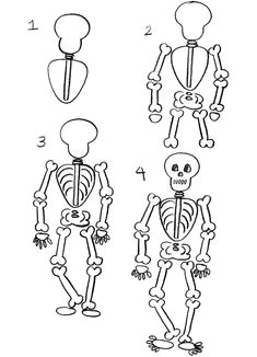 Easy How to Draw A Skeleton 3731 Best Cartooning Images In 2020 Drawings Easy