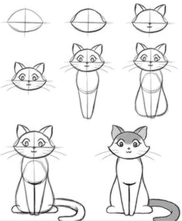 Easy Kitty Drawing Pin by Joe Mario On Animals Cat Drawing Tutorial Sketches