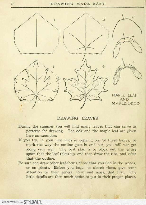 Easy Maple Leaf Drawing Drawing Made Easy A Helpful Book for Young Ar Na