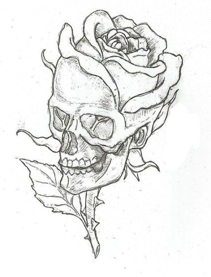 Easy Medusa Drawing New Drawing Easy Rose Ideas Drawing In 2020 Skull Art