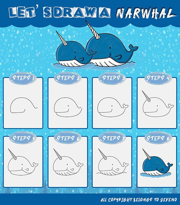 Easy Narwhal Drawing Learn How to Draw A Simple and Cute Narwhal Step by Step