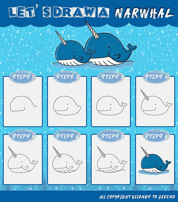 Easy Narwhal Drawing Learn How to Draw A Simple and Cute Narwhal Step by Step