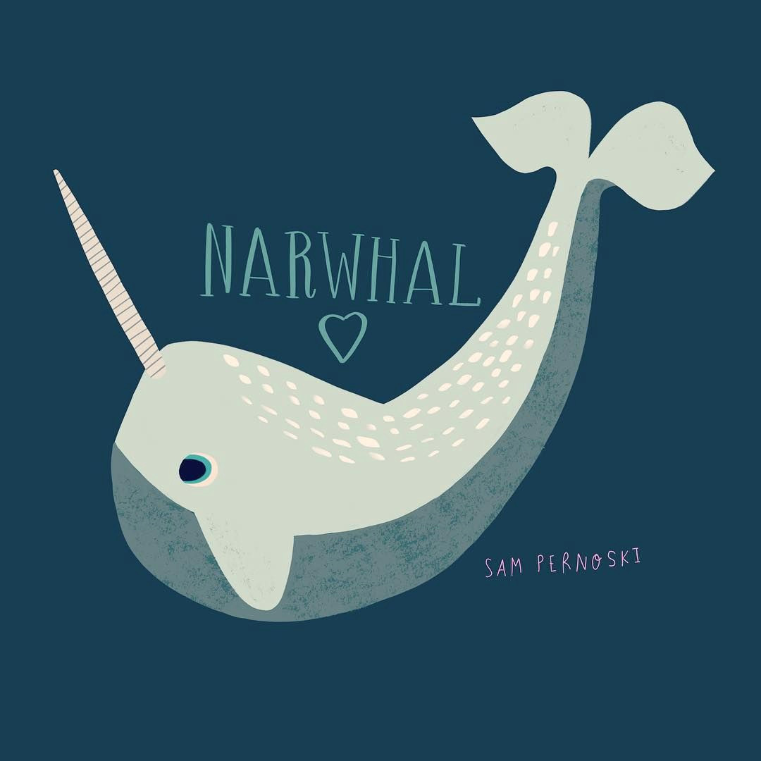 Easy Narwhal Drawing Pin by Tad On Narwhal Animal Drawings Drawings Illustration