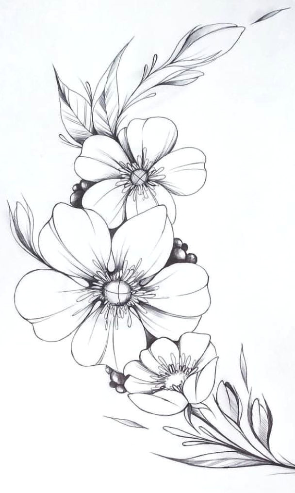 Easy Pictures Of Flowers to Draw Floral Lettering Flower Art Drawing Flower Line Drawings