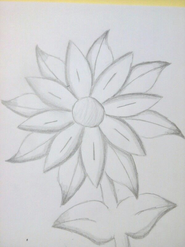 Easy Pictures Of Flowers to Draw I Love to Draw In 2020 Art Sketches Art Drawings Pencil