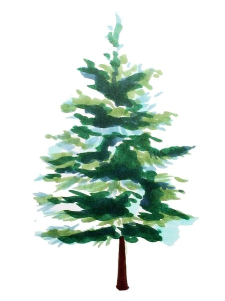 Easy Pine Tree Drawing Drawing Spruce Trees Copic Coptic In 2019 Copic Marker