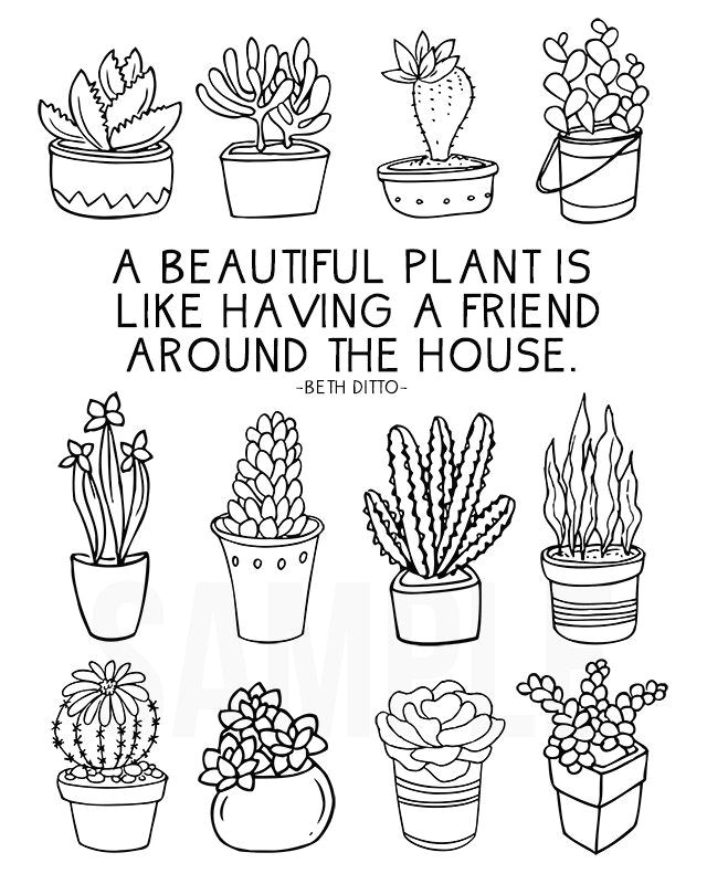 Easy Plant Drawing Fun Coloring Sheet Full Of Succulents for Plant Lovers