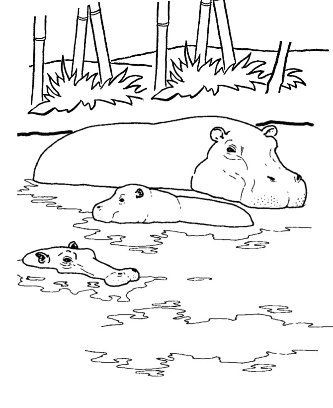 Easy River Drawing Wild Animal Coloring Page River Hippo Coloring Page