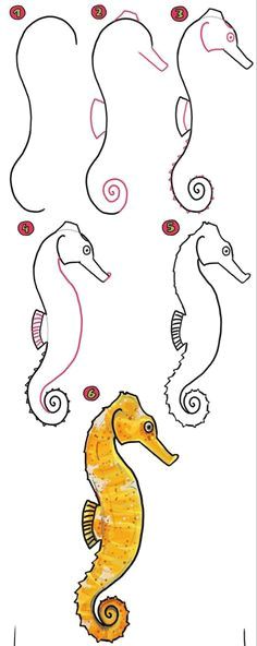 Easy Seahorse Drawing 19 Best Seahorse Drawings Images Seahorse Drawing