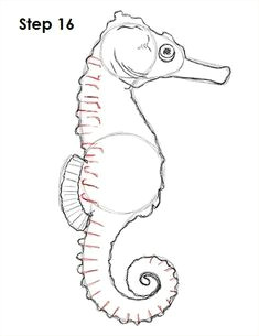 Easy Seahorse Drawing 78 Best Seahorses Images In 2020 Seahorse Art Seahorse