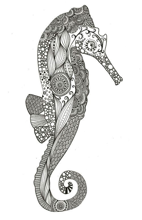 Easy Seahorse Drawing Animalarium Seahorse Safari Doodle Designs Drawings