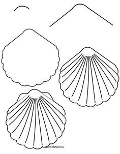 Easy Shell Drawing How to Draw Coral Learn How to Draw A Shell with Simple