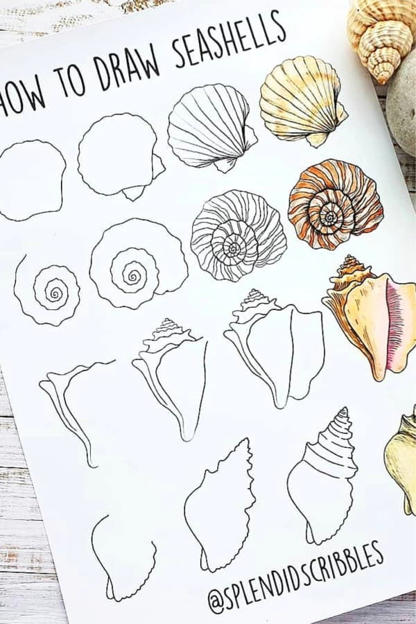 Easy Shell Drawing Step by Step Bullet Journal Doodle Tutorials Vol 1 Doodle