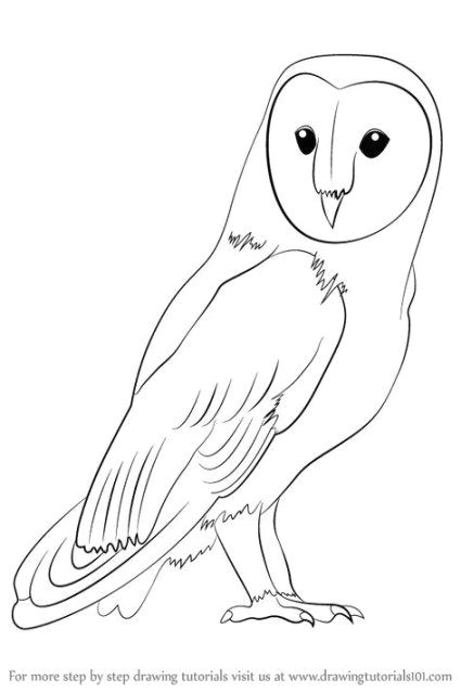 Easy Simple Owl Drawing 16 Ideas Drawing Step by Step Owl Drawing Drawing