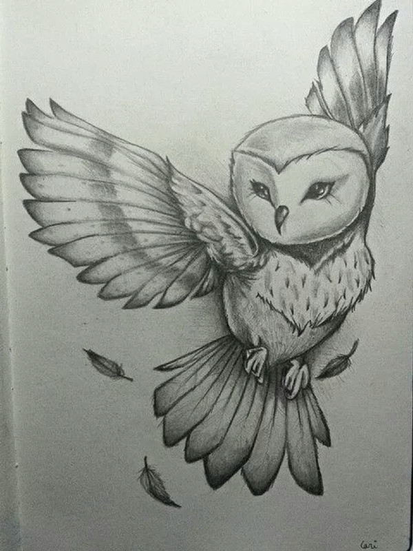Easy Simple Owl Drawing 42 Simple and Easy Pencil Drawings Of Animals Buzz Hippy