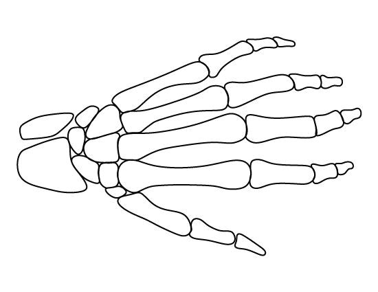 Easy Skeleton Hand Drawing Pin by Sebastian Hunter On Style Skeleton Hands Halloween