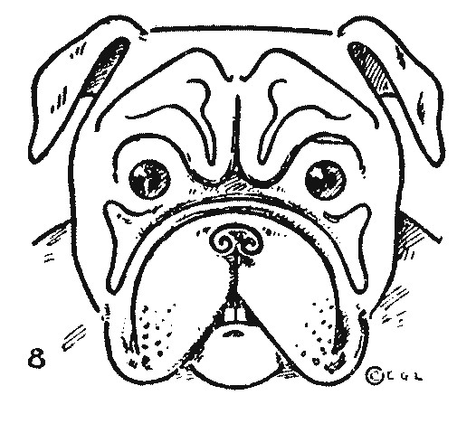 Easy Step How to Draw A Dog Bulldog Drawing Easy Step by Step Drawing Animals