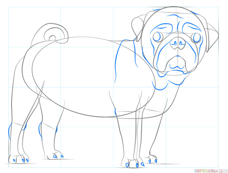 Easy Step How to Draw A Dog How to Draw A Pug Dog Step by Step Drawing Tutorials for