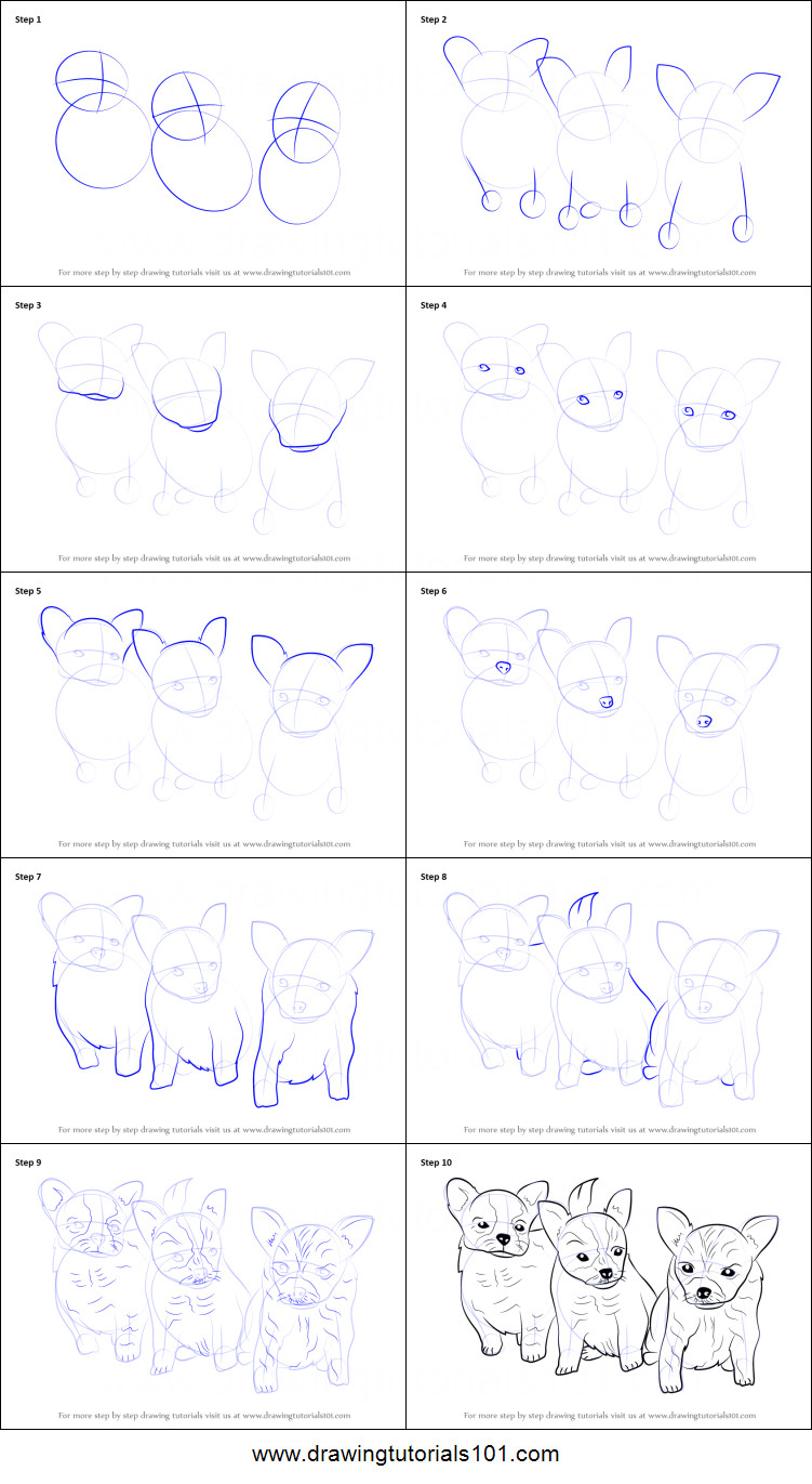 Easy Step How to Draw A Dog How to Draw Puppies Printable Step by Step Drawing Sheet