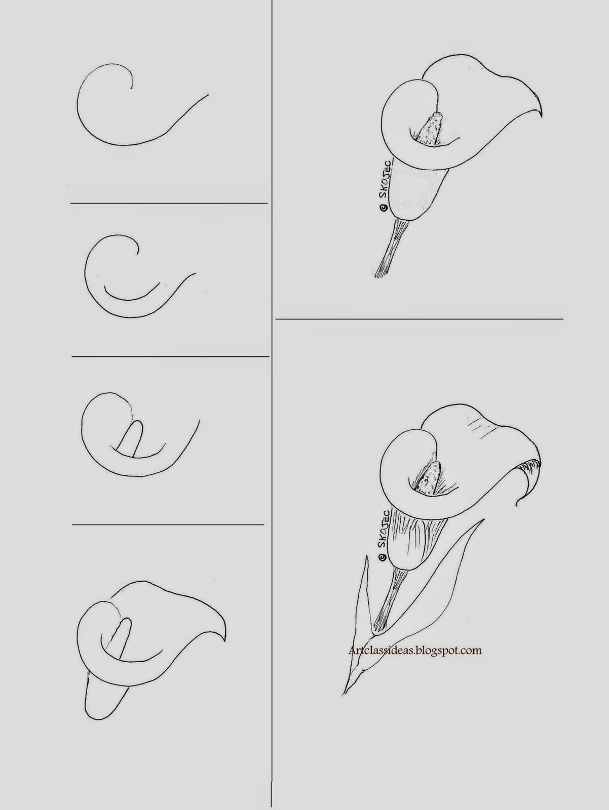 Easy Steps to Make Drawings Calla Lily Art Class Ideas Do Od Le Art Drawings