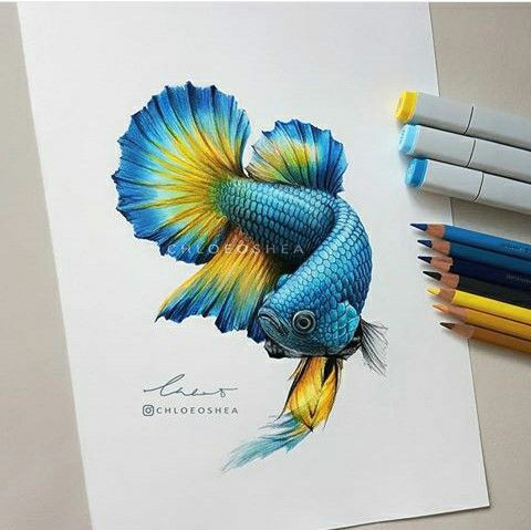 Easy Things to Draw with Colored Pencils Bright Coloured Fish with A Black Background Using Marker