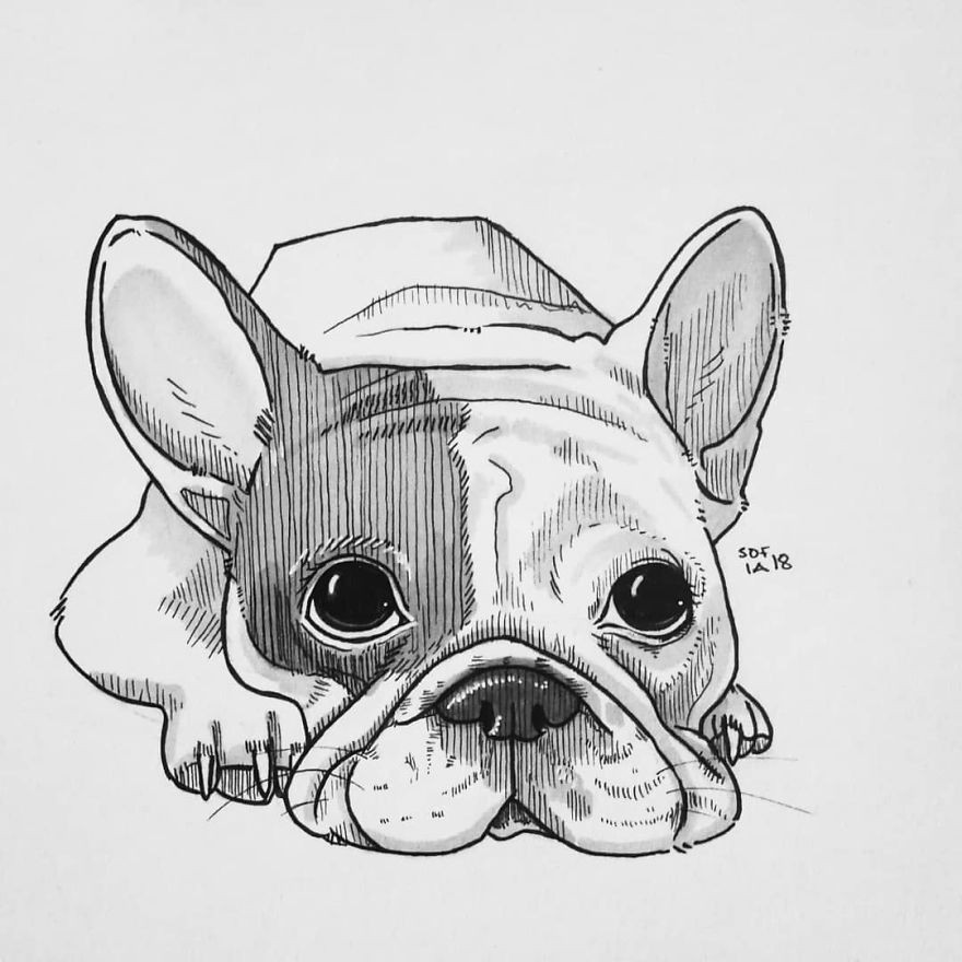 Easy to Draw Cartoon Dog I Challenged Myself to Draw 30 Dogs In 30 Days Bulldog