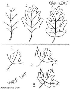 Easy to Draw Fall Leaves 1443 Best Drawing Images In 2020 Drawings Art Drawings