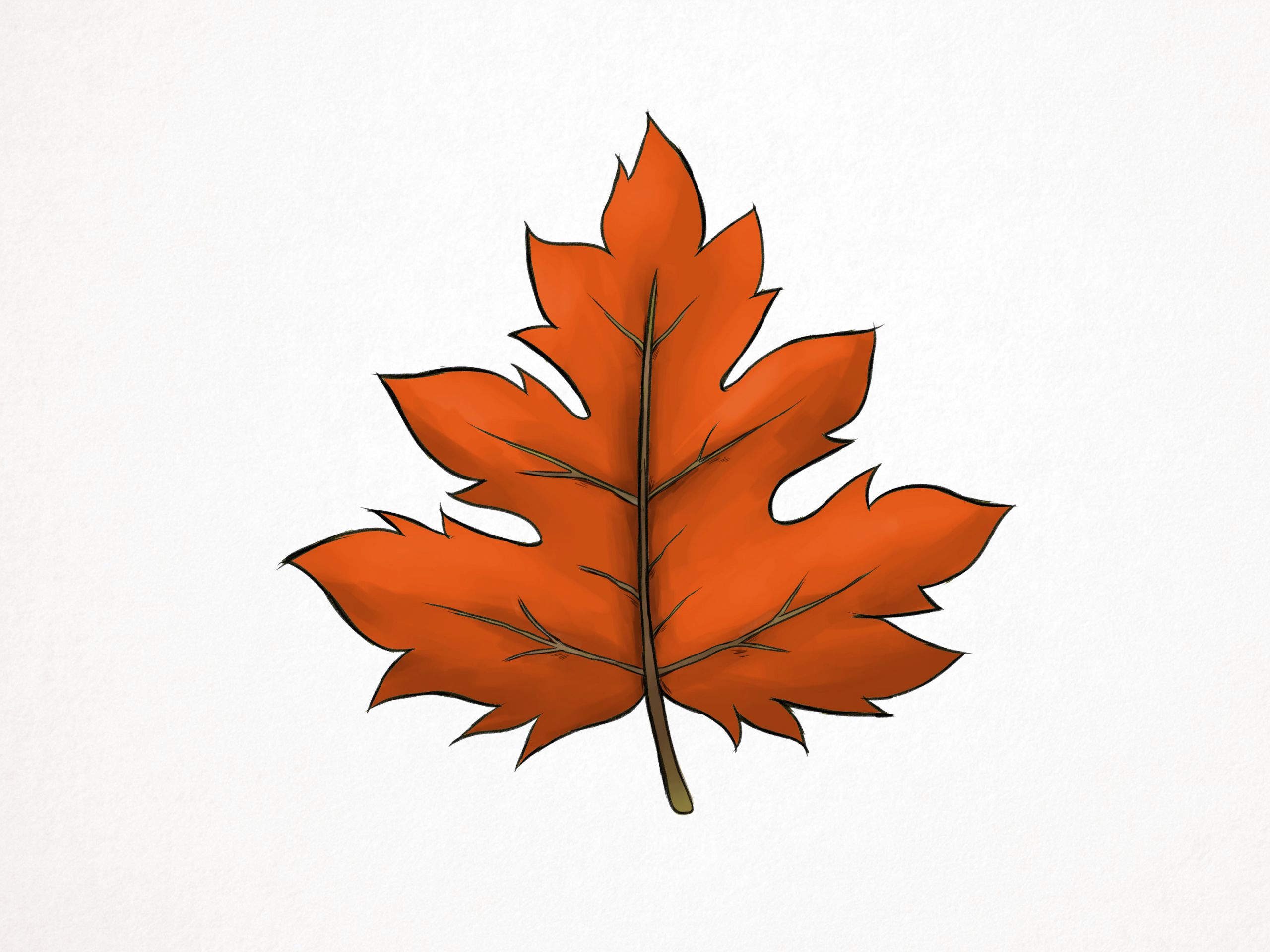 Easy to Draw Fall Leaves How to Draw A Maple Leaf 10 Steps with Pictures Wikihow