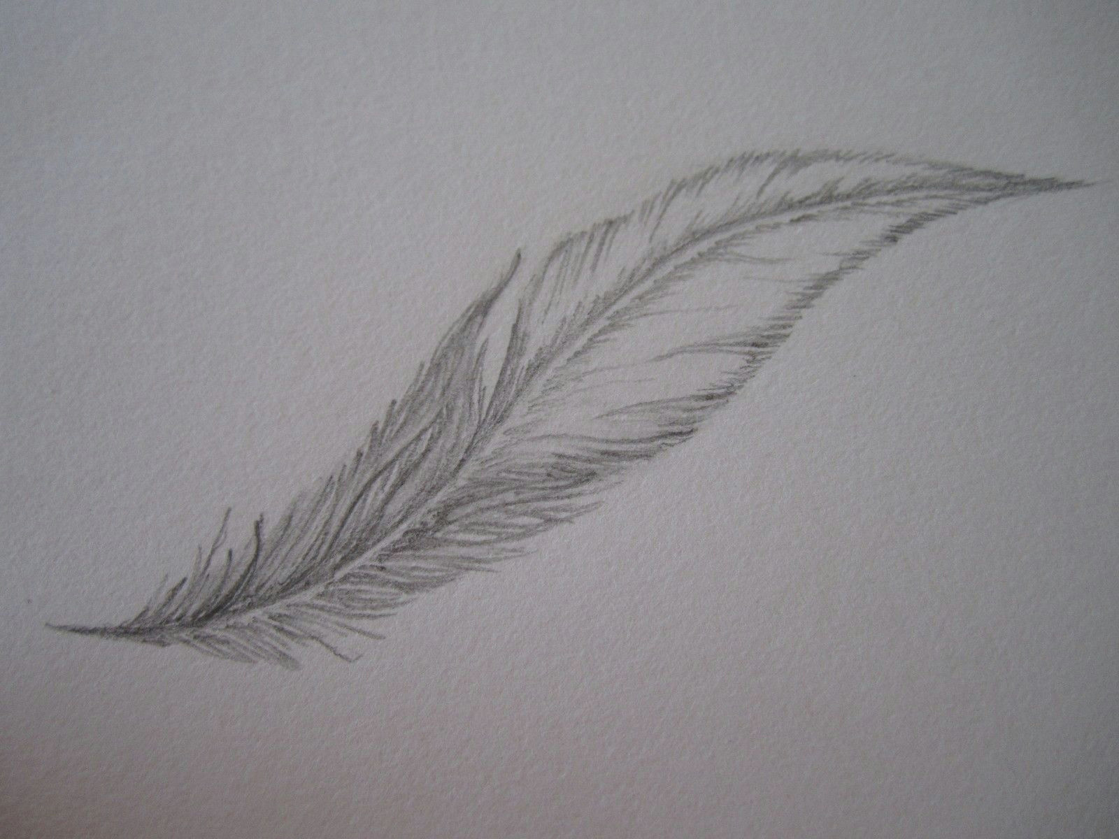 Easy to Draw Feather Wanna Draw A Feather In 2019 Draw It Feather Drawing
