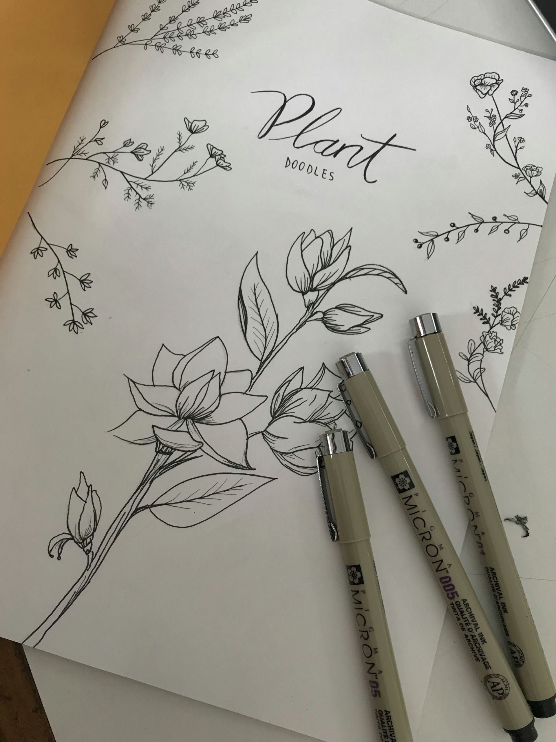 Easy to Draw Plants Plants Doodles Plants Draw Botanical