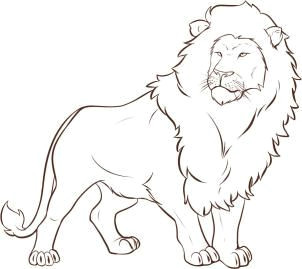 Easy to Draw Safari Animals How to Draw A Lion Step 6 Lion Drawing Simple Lion