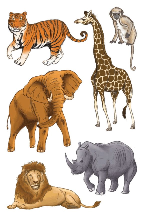 Easy to Draw Safari Animals Ryan Hall Can Draw Safari Animals 3d Stickers Safari