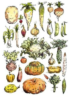 Easy to Draw Vegetables 39 Best Vegetable Drawing Images Vegetable Drawing Still